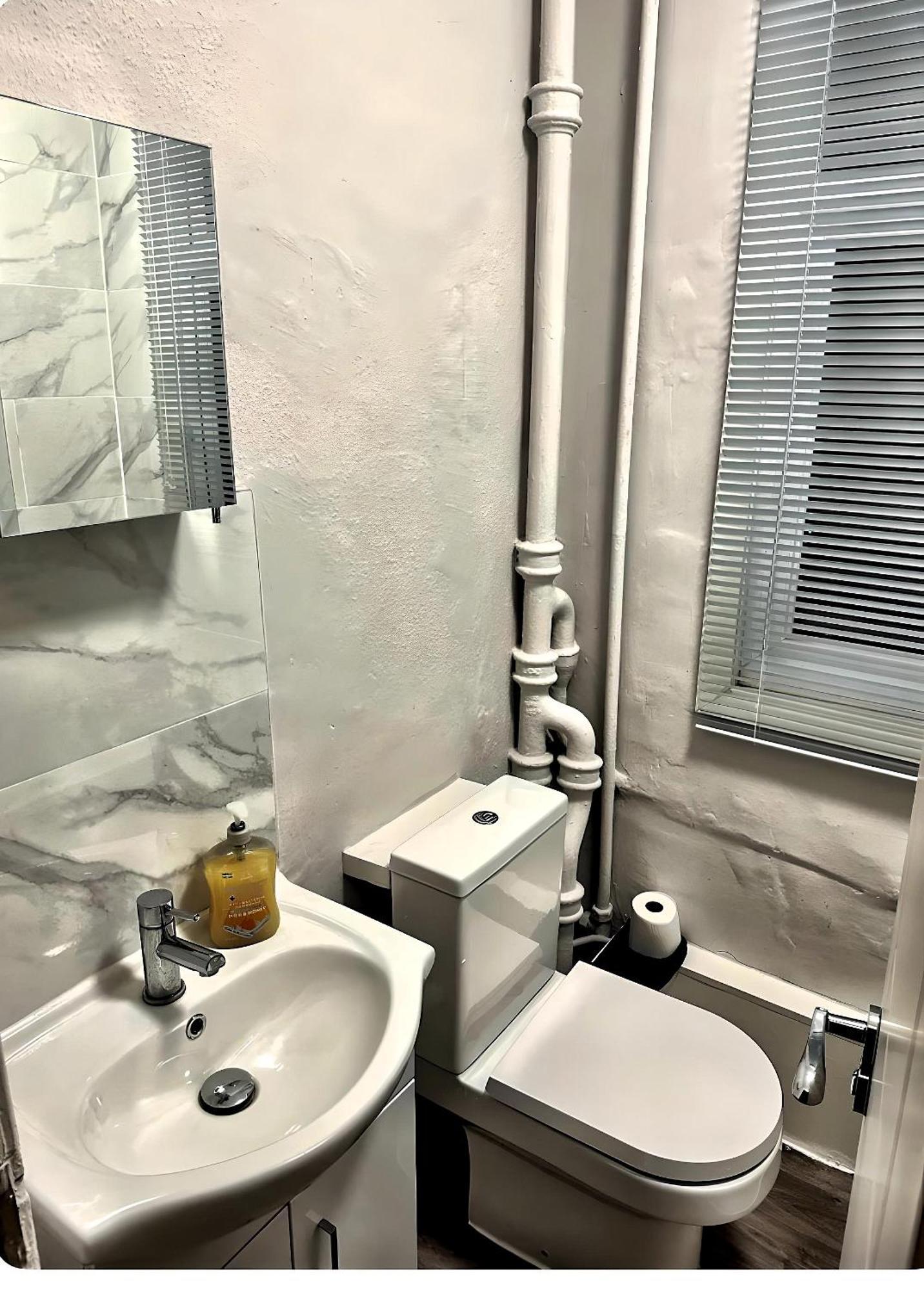 伦敦Brixton Hill Retreat Modern And Cosy公寓 外观 照片